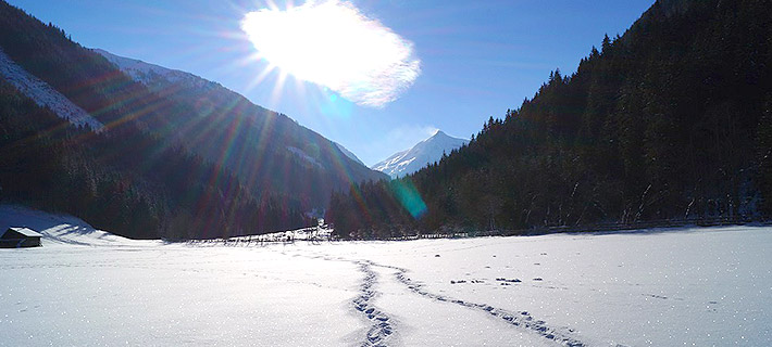 06_winter_neu.jpg