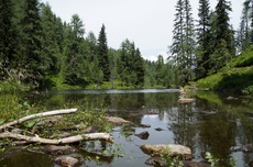 dsc04486.jpg